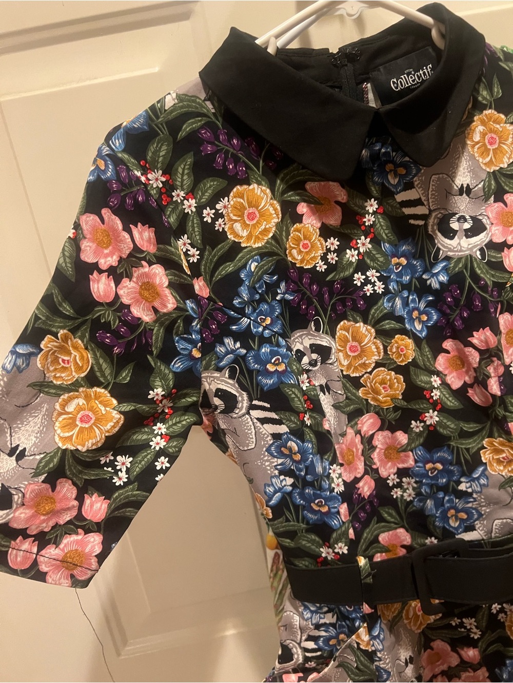 Collectif Black Raccoon/Floral Fit-and-Flare Dress - Picture 4 of 5